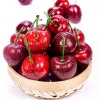 Cherry (anh đào) nhập khẩu loại 1